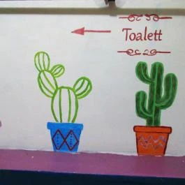 El Cactus Tequila Bár, Miskolc - Egyéb