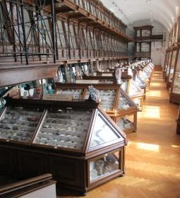 ELTE Természetrajzi Múzeum 