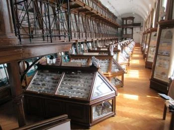 ELTE Természetrajzi Múzeum Budapest