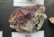 ELTE Természetrajzi Múzeum Budapest