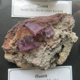 ELTE Természetrajzi Múzeum Budapest - Egyéb