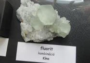 ELTE Természetrajzi Múzeum Budapest