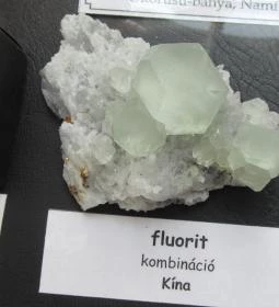 ELTE Természetrajzi Múzeum 