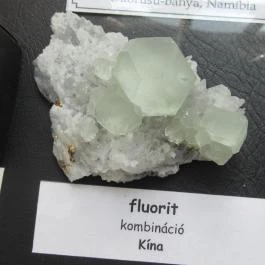 ELTE Természetrajzi Múzeum Budapest - Egyéb