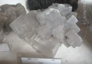 ELTE Természetrajzi Múzeum Budapest