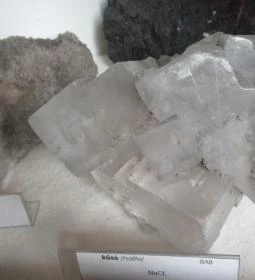 ELTE Természetrajzi Múzeum 