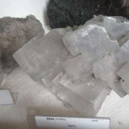 ELTE Természetrajzi Múzeum Budapest - Egyéb