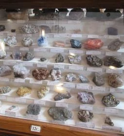 ELTE Természetrajzi Múzeum 