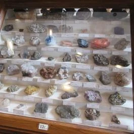 ELTE Természetrajzi Múzeum Budapest - Egyéb