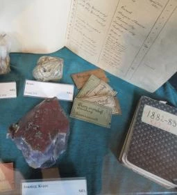 ELTE Természetrajzi Múzeum 