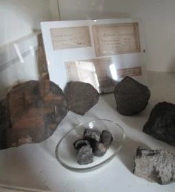 ELTE Természetrajzi Múzeum 