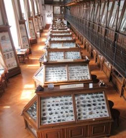 ELTE Természetrajzi Múzeum 