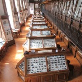 ELTE Természetrajzi Múzeum Budapest - Egyéb