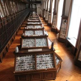 ELTE Természetrajzi Múzeum Budapest - Egyéb