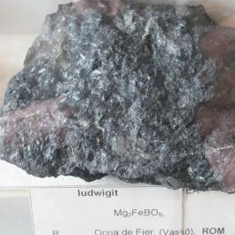 ELTE Természetrajzi Múzeum Budapest - Egyéb