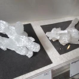 ELTE Természetrajzi Múzeum Budapest - Egyéb