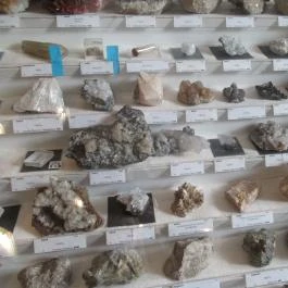 ELTE Természetrajzi Múzeum Budapest - Egyéb