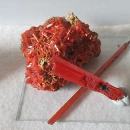 ELTE Természetrajzi Múzeum Budapest - Egyéb