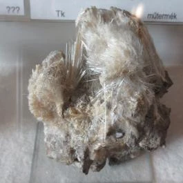 ELTE Természetrajzi Múzeum Budapest - Egyéb