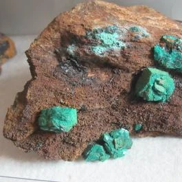 ELTE Természetrajzi Múzeum Budapest - Egyéb