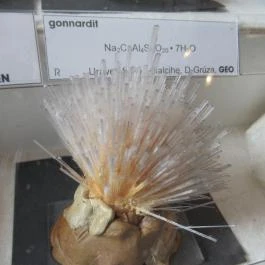 ELTE Természetrajzi Múzeum Budapest - Egyéb