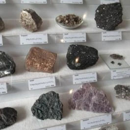 ELTE Természetrajzi Múzeum Budapest - Egyéb