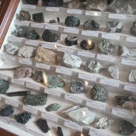 ELTE Természetrajzi Múzeum Budapest - Egyéb