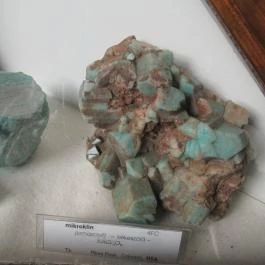 ELTE Természetrajzi Múzeum Budapest - Egyéb