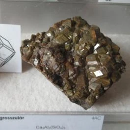 ELTE Természetrajzi Múzeum Budapest - Egyéb