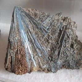 ELTE Természetrajzi Múzeum Budapest - Egyéb