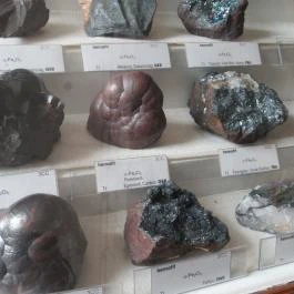 ELTE Természetrajzi Múzeum Budapest - Egyéb