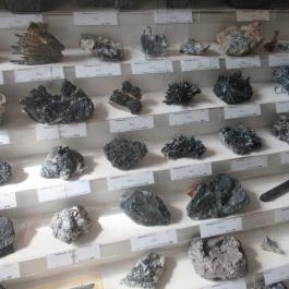 ELTE Természetrajzi Múzeum Budapest - Egyéb