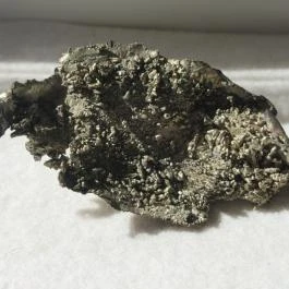 ELTE Természetrajzi Múzeum Budapest - Egyéb