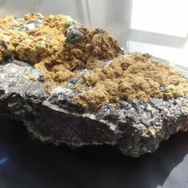 ELTE Természetrajzi Múzeum Budapest - Egyéb