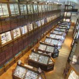 ELTE Természetrajzi Múzeum Budapest - Egyéb