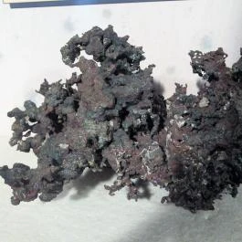 ELTE Természetrajzi Múzeum Budapest - Egyéb