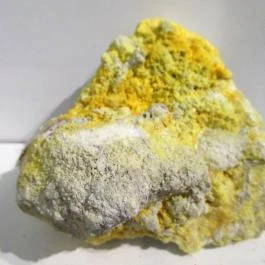 ELTE Természetrajzi Múzeum Budapest - Egyéb