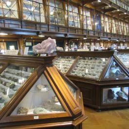 ELTE Természetrajzi Múzeum Budapest - Egyéb