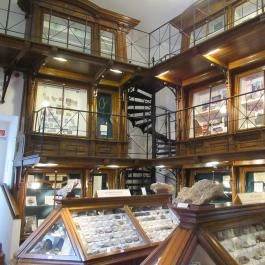 ELTE Természetrajzi Múzeum Budapest - Egyéb