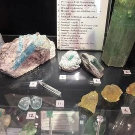 ELTE Természetrajzi Múzeum Budapest - Egyéb