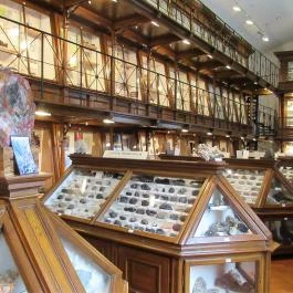 ELTE Természetrajzi Múzeum Budapest - Egyéb