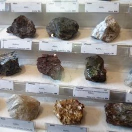 ELTE Természetrajzi Múzeum Budapest - Egyéb