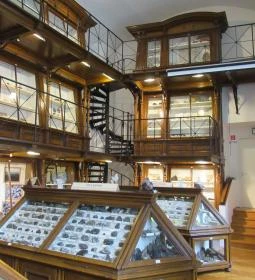 ELTE Természetrajzi Múzeum 