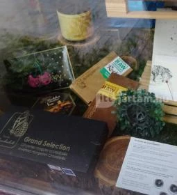 Endorfine Csokoládéüzlet