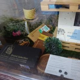 Endorfine Csokoládéüzlet Budapest - Külső kép