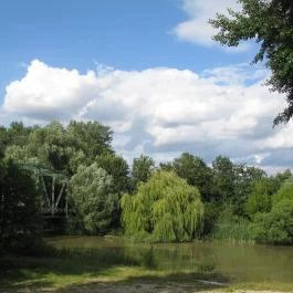 Engler Hotel, Mosonmagyaróvár - Környék
