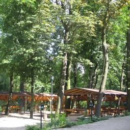 Engler Hotel, Mosonmagyaróvár - Medence/kert