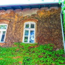 ELTE Füvészkert Budapest - Egyéb