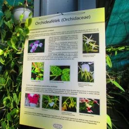 ELTE Füvészkert Budapest - Egyéb