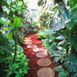 ELTE Füvészkert Budapest - Egyéb